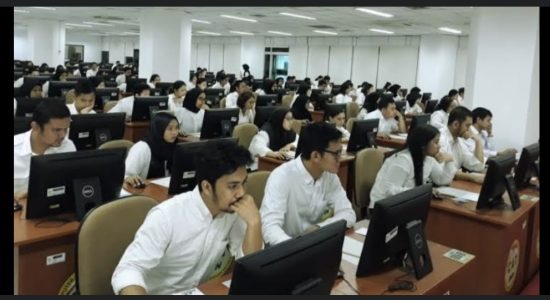 Simak! Menpan RB Putuskan Tenaga Honorer Kategori Ini Hanya Menjadi PPPK Paruh Waktu